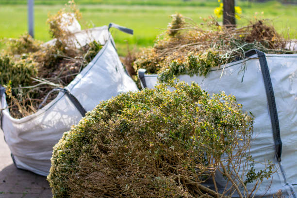 Basement Cleanout Services in Dunbar, SC